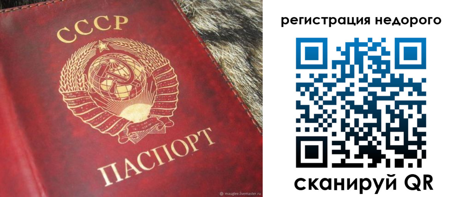 прописка ребенка в Никольске